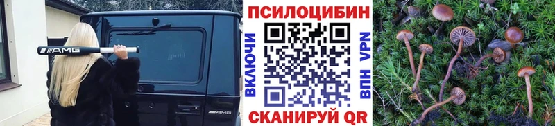 Псилоцибиновые грибы GOLDEN TEACHER  блэк спрут рабочий сайт  Лермонтов  цены  